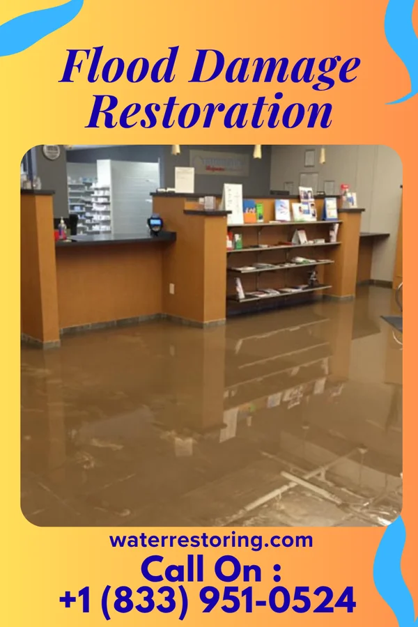 Flood Damage Restoration in Stafford, TX