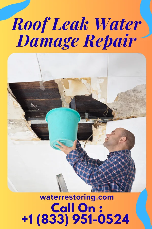 Roof Leak Water Damage Repair in Stafford, TX