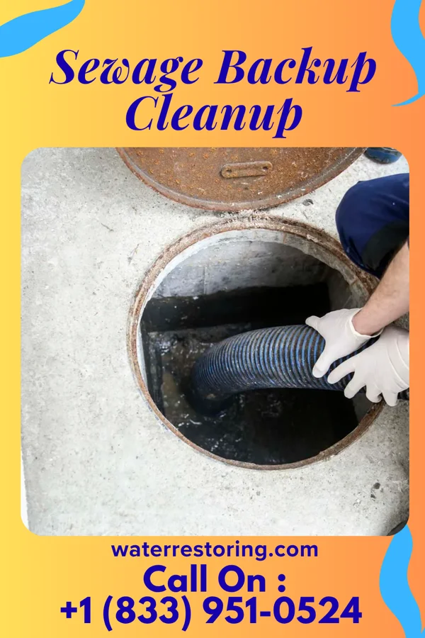 Sewage Backup Cleanup in Stafford, TX
