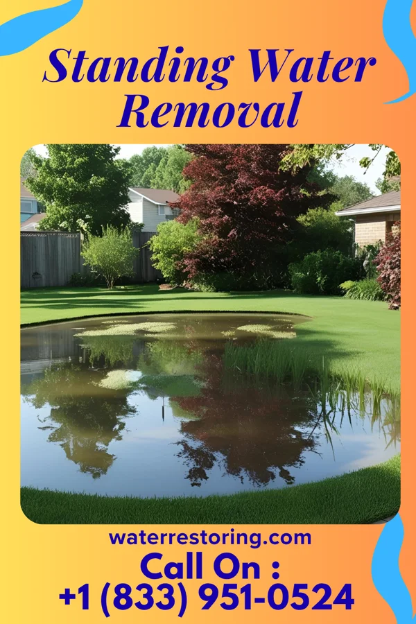 Standing Water Removal in Stafford, TX